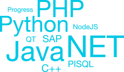 Progress, PHP, Python, NodeJS, QT, SAP, Java, NET, PISQL, C++